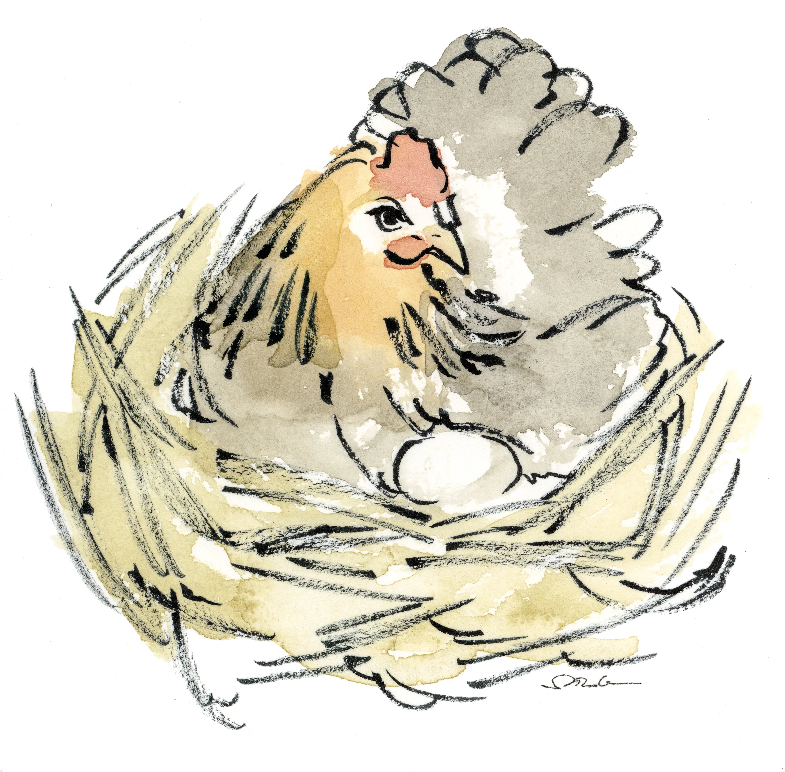 Poule couveuse
