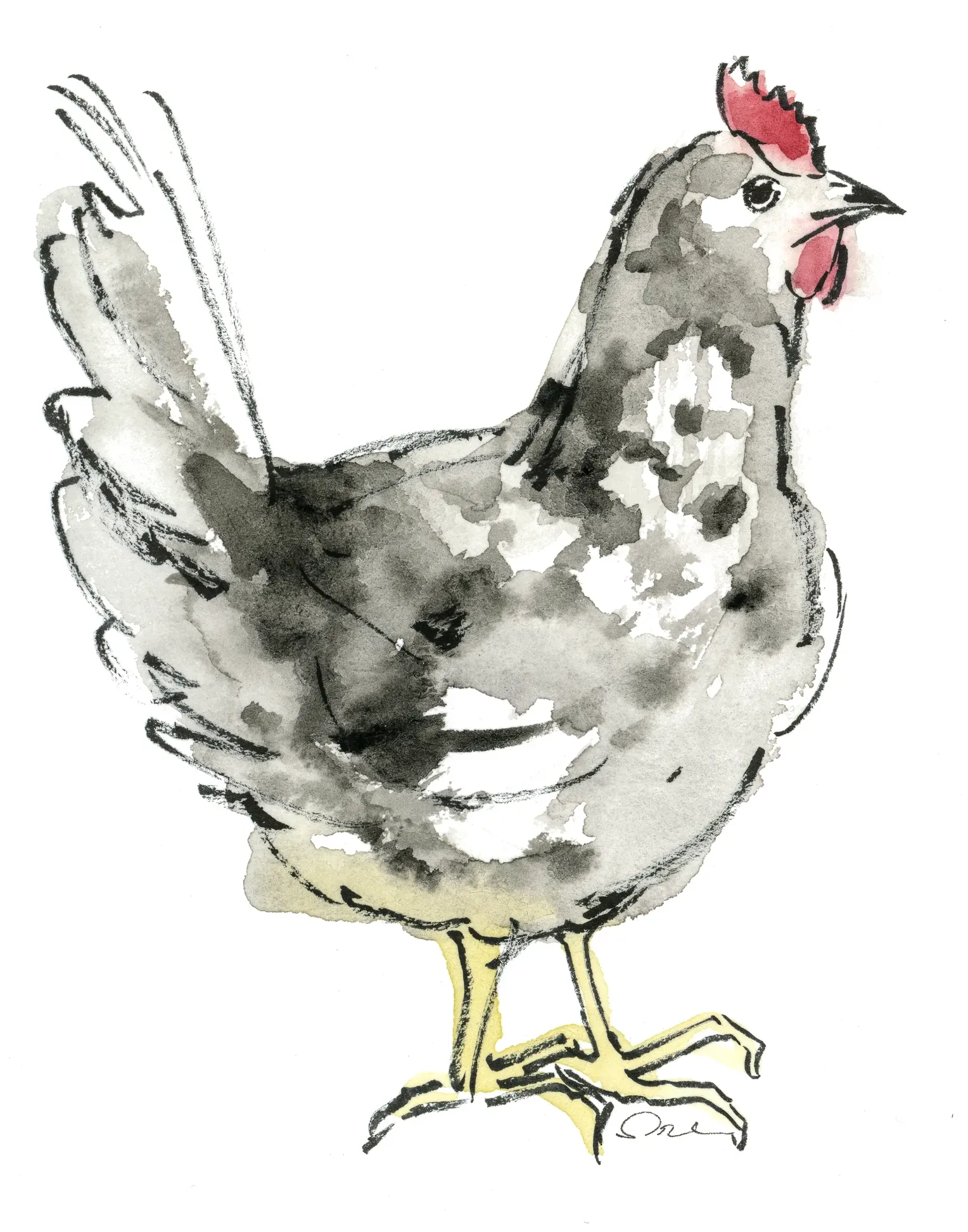 Poule de Gournay