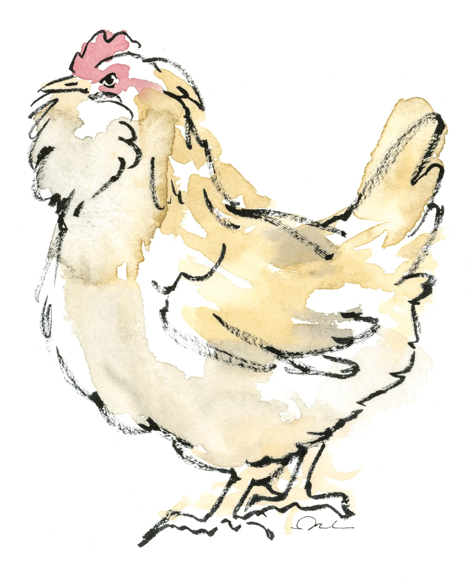 Poule barbue