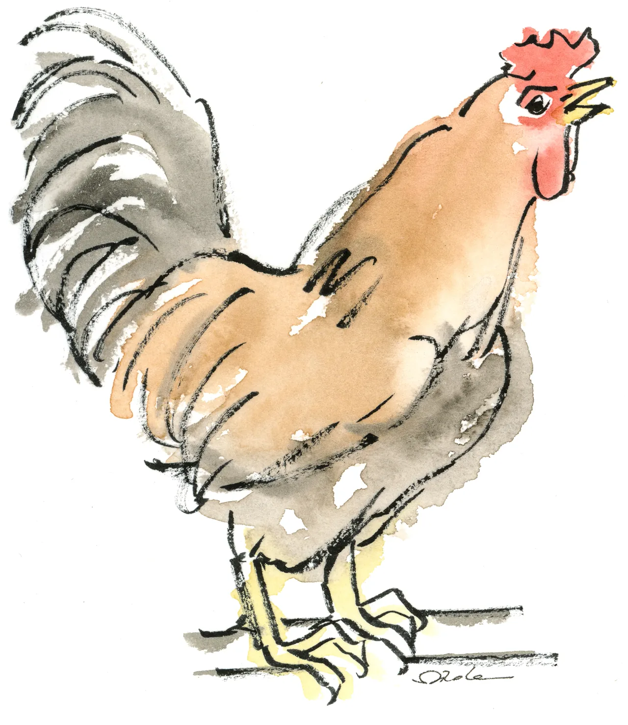 Crowing rooster